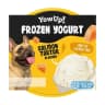 Yaourt glacé Tartare de saumon 110G