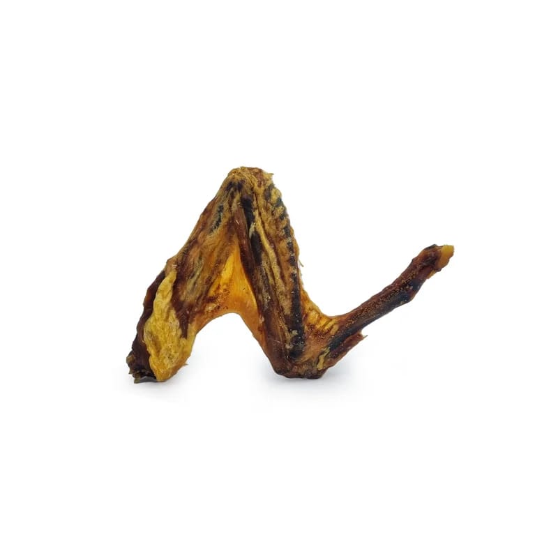 Ailes de canard, miniature 1