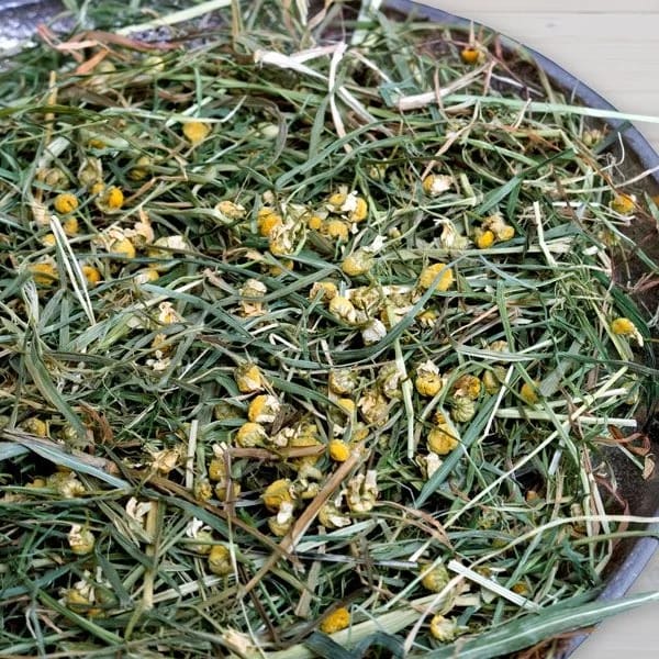 Foin FreshGrass Camomille 500G, miniature 2