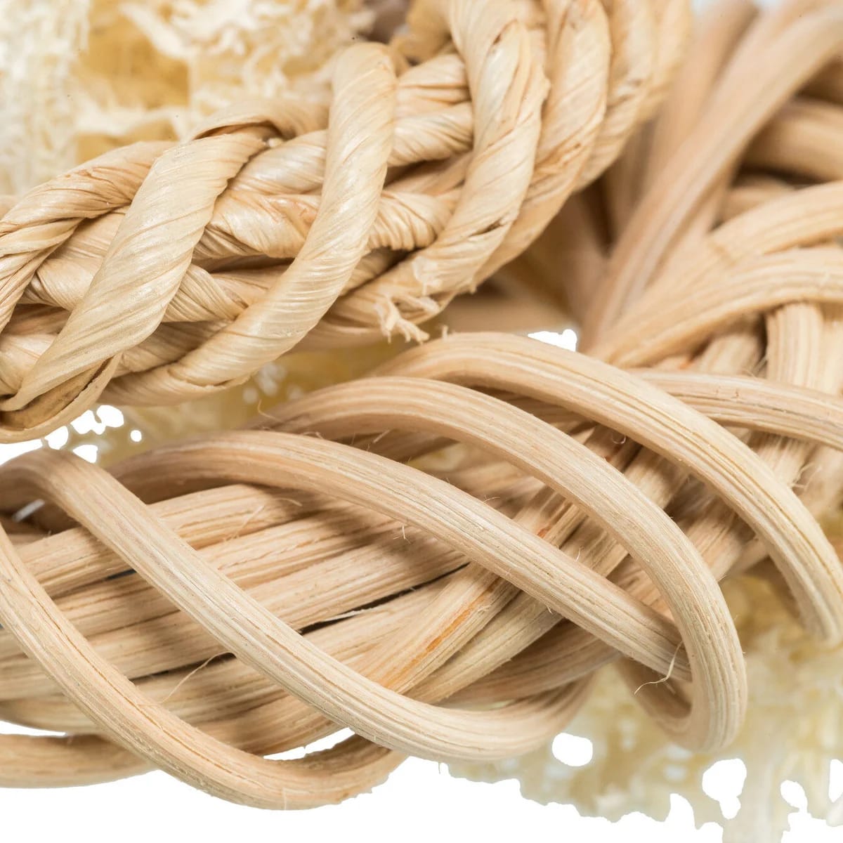 Anneaux en luffa, miniature 2