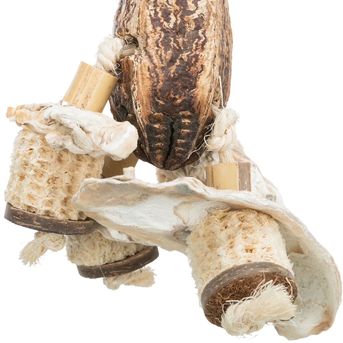 Jouet noix d'acajou et coquillages, miniature 3