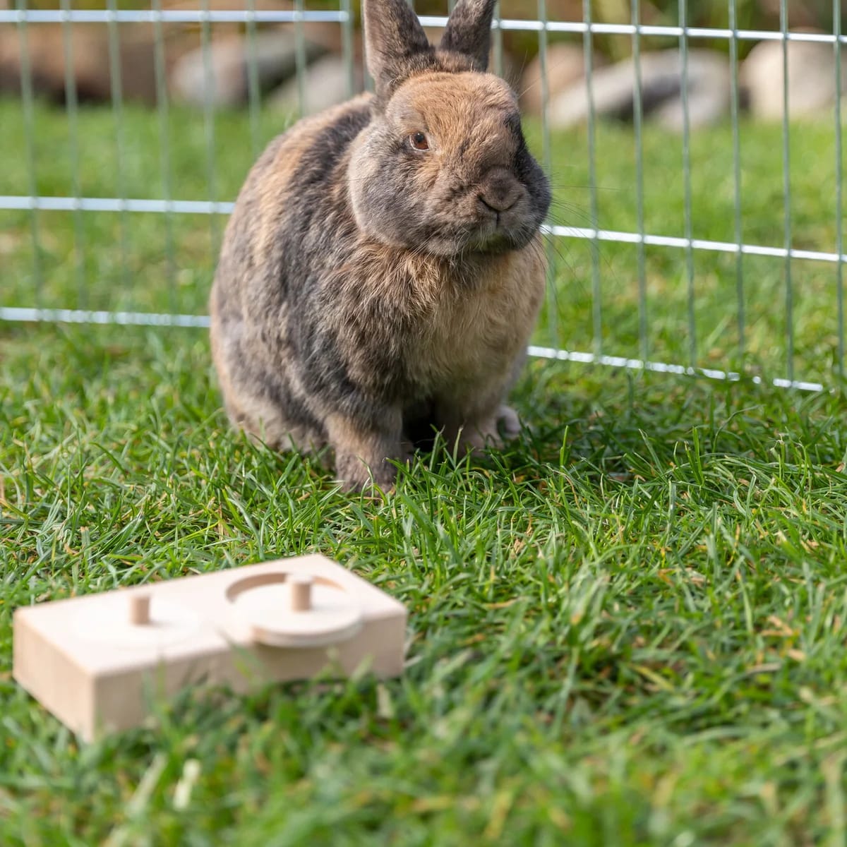 Snack Box, miniature 2