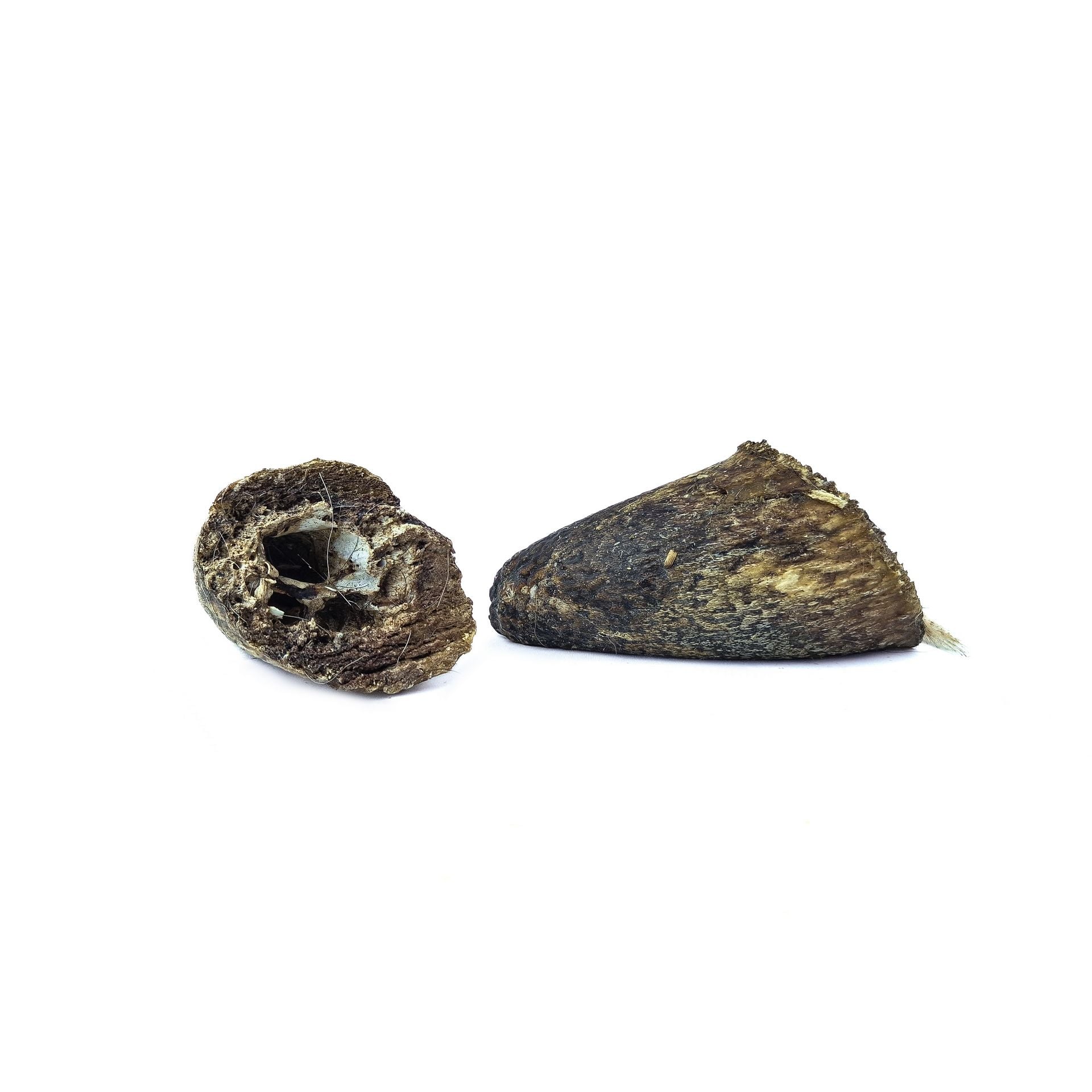 Noyau de corne de boeuf — Mastication pour chien, photo 1 sur 1
