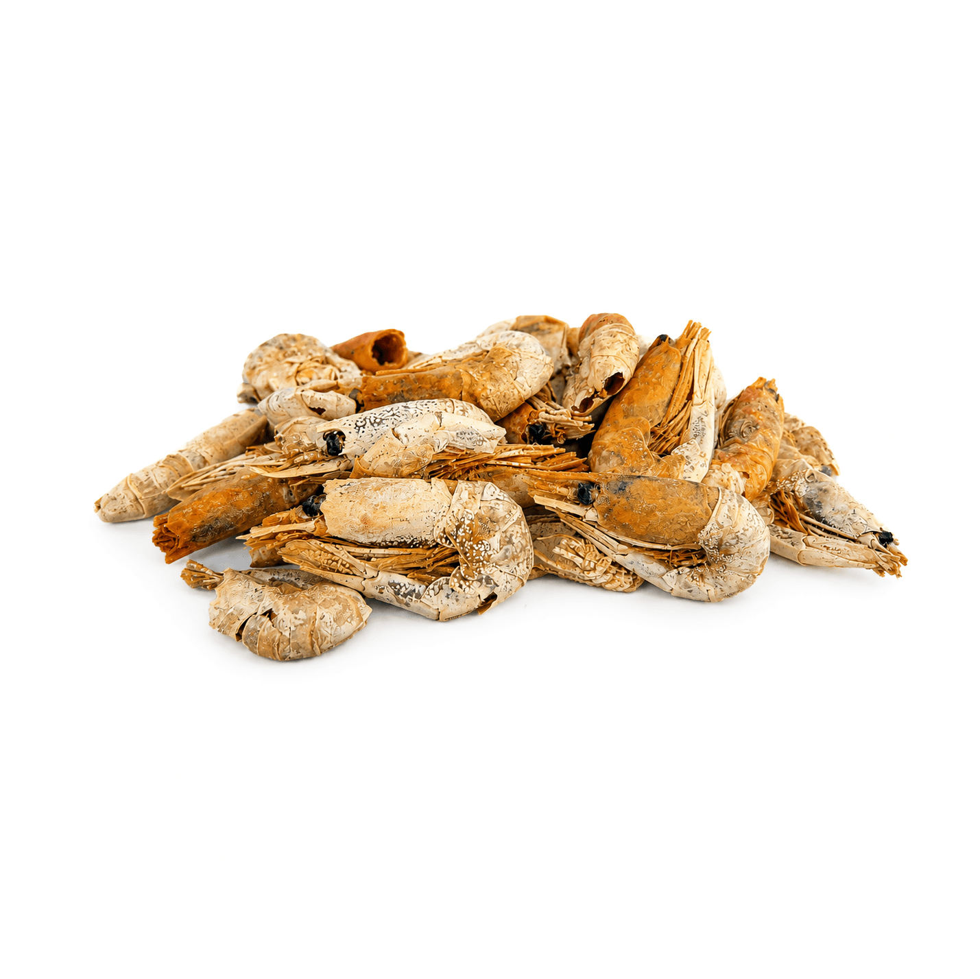 Crevettes roses, Mastication pour chien, photo 1 sur 1