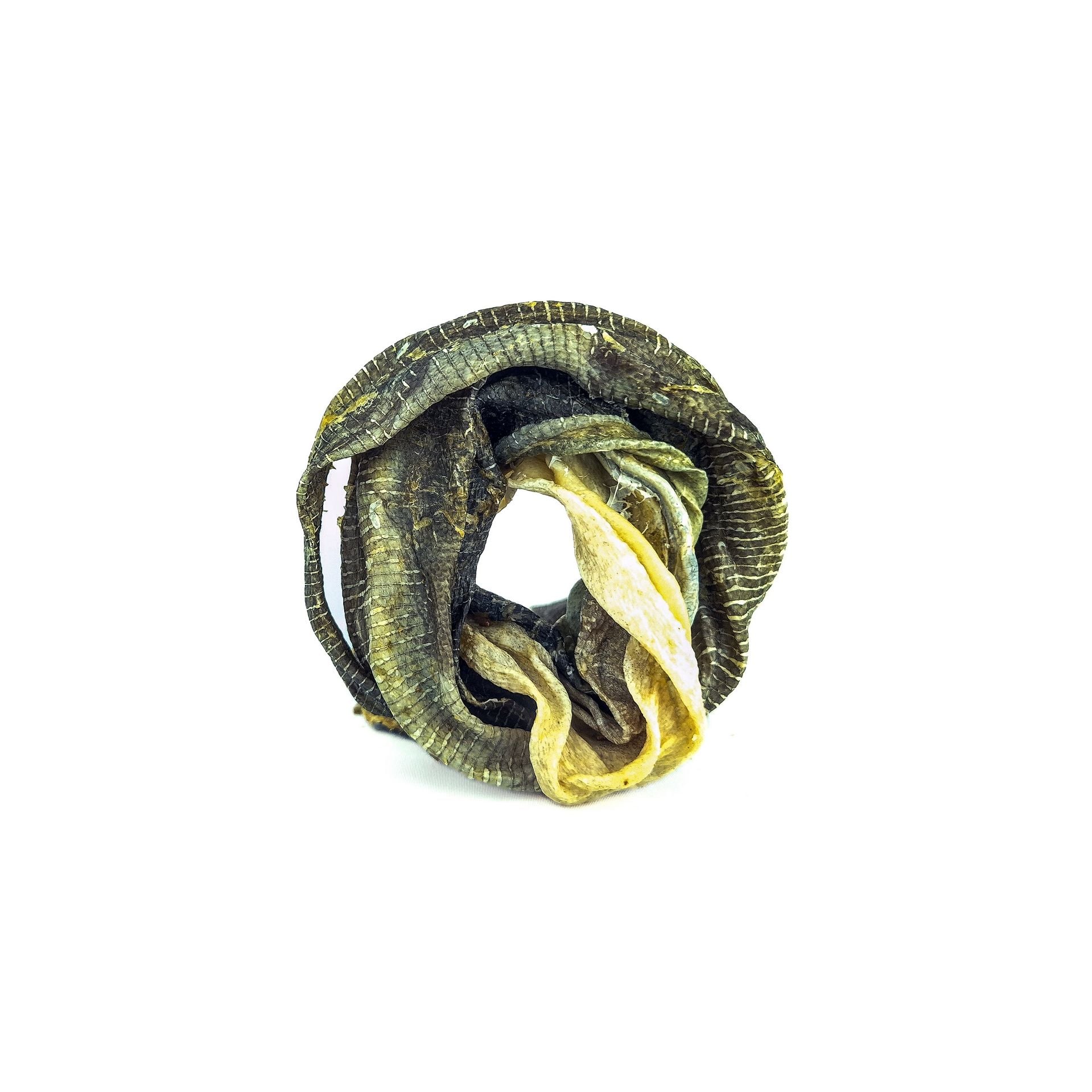 Donut peau de morue — Mastication pour chien, photo 1 sur 1