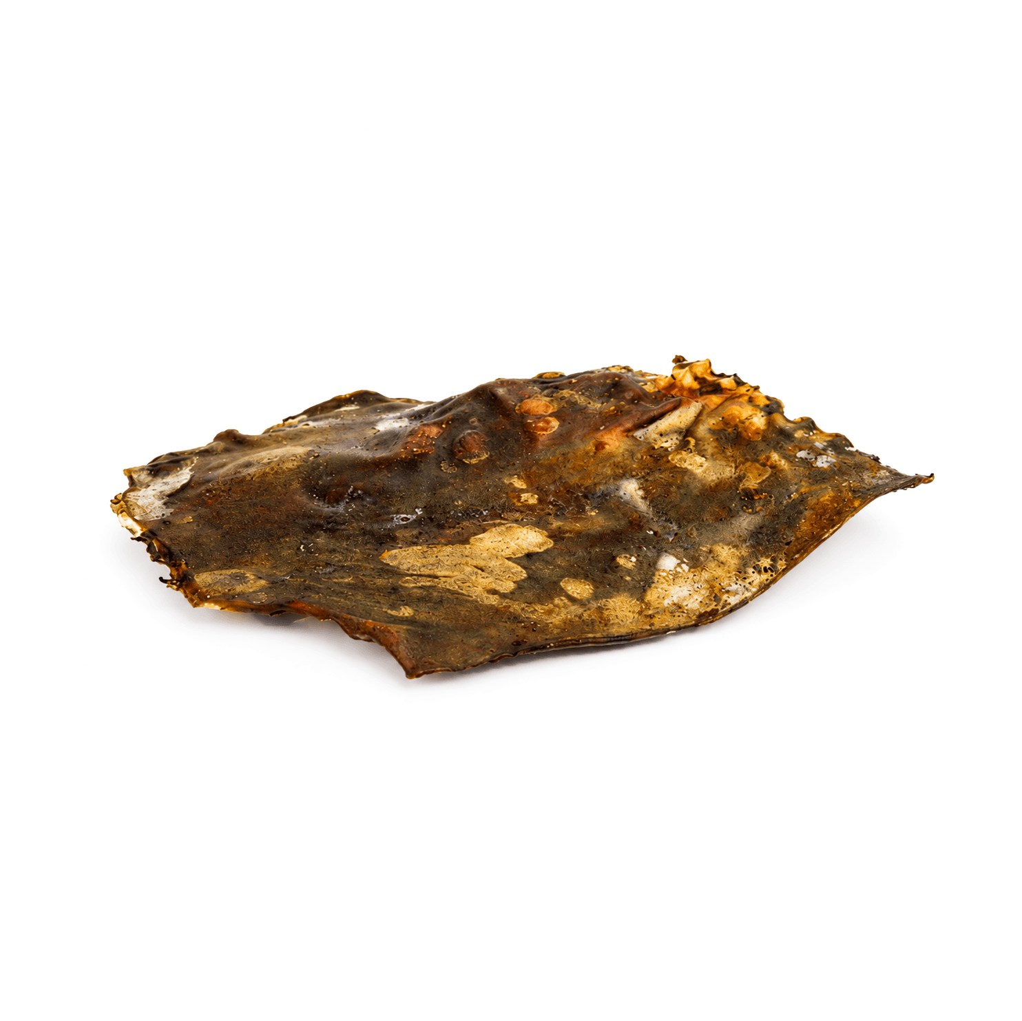 Plaque de cerf