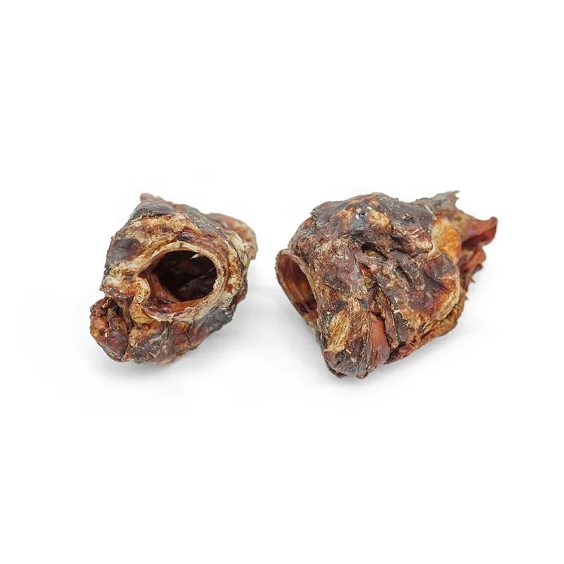 Larynx de bœuf