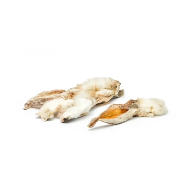 Oreilles de lapin avec poils