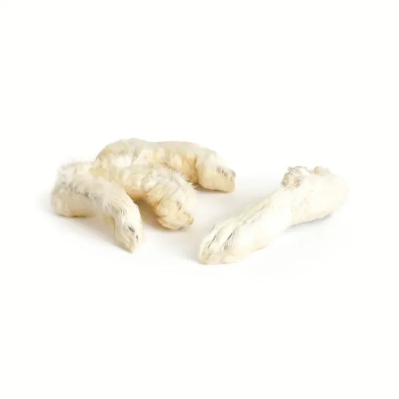 Pattes de lapin avec poils