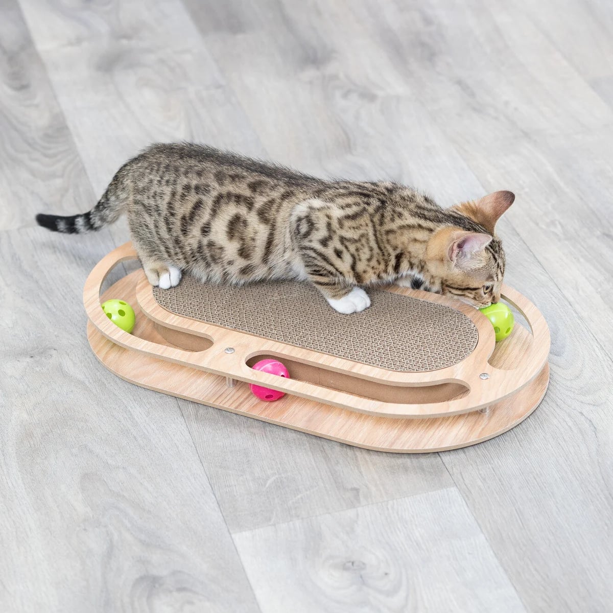 Griffoir en carton, Enrichissement pour chat, photo 3 sur 5