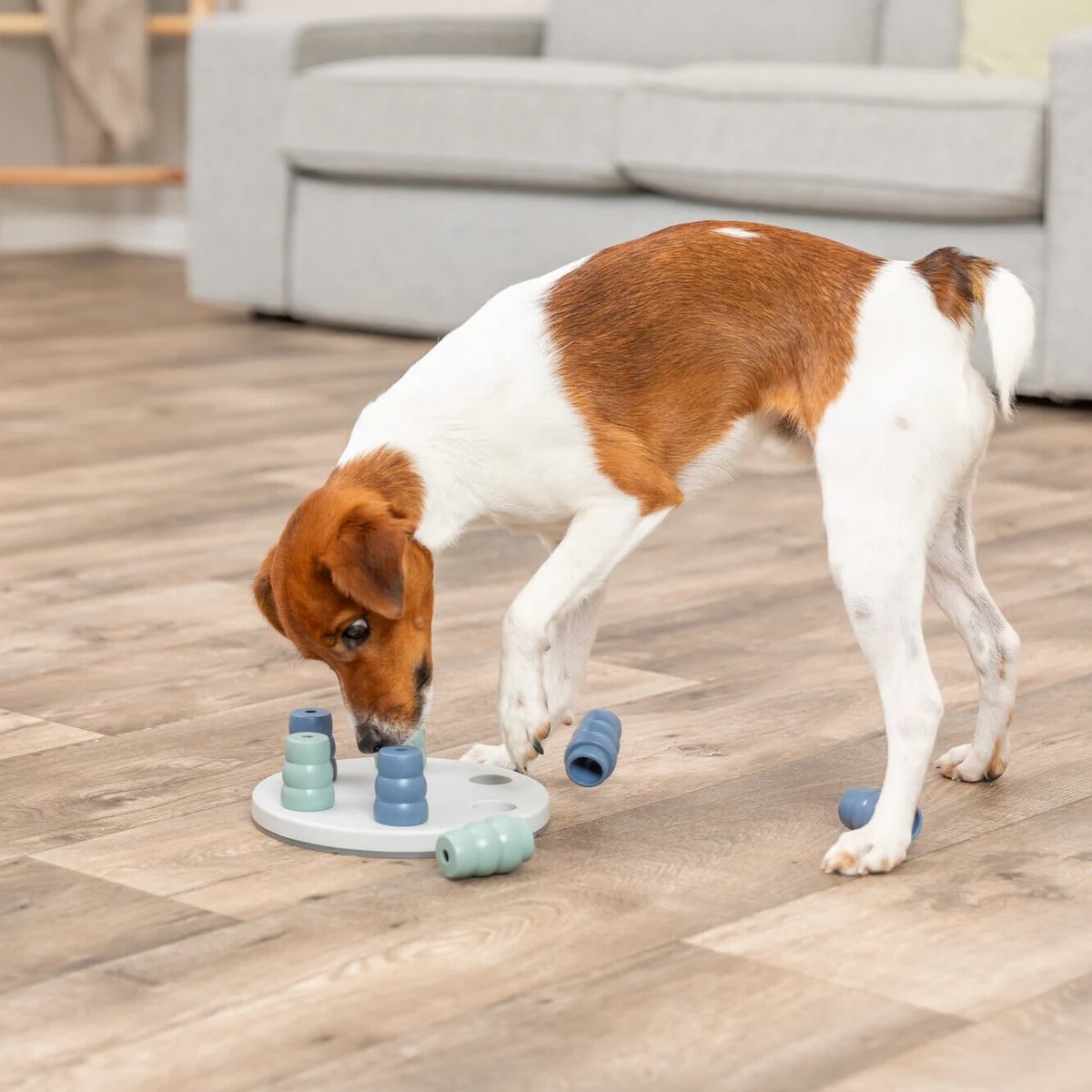 Mini Solitaire, Jouets pour chien, photo 3 sur 5