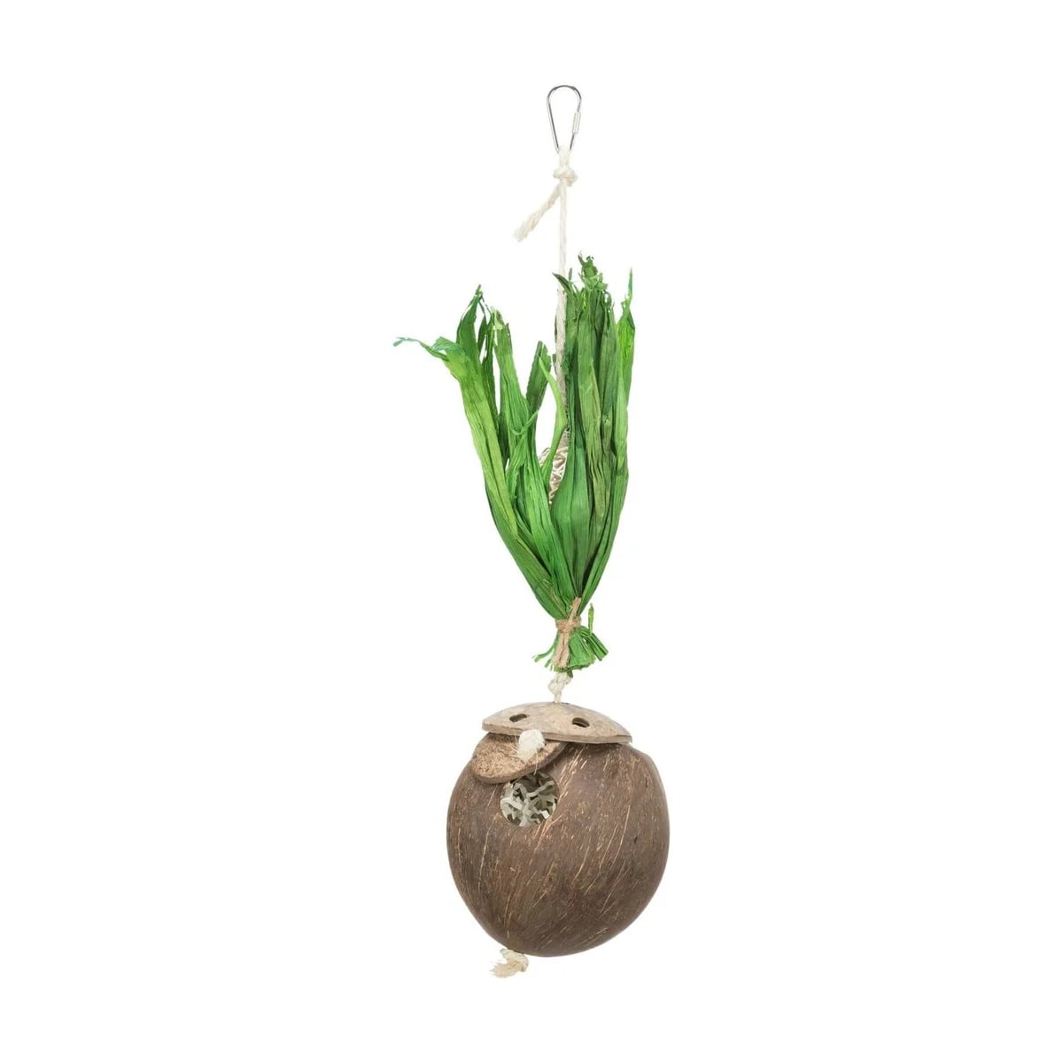 Noix de coco suspendu