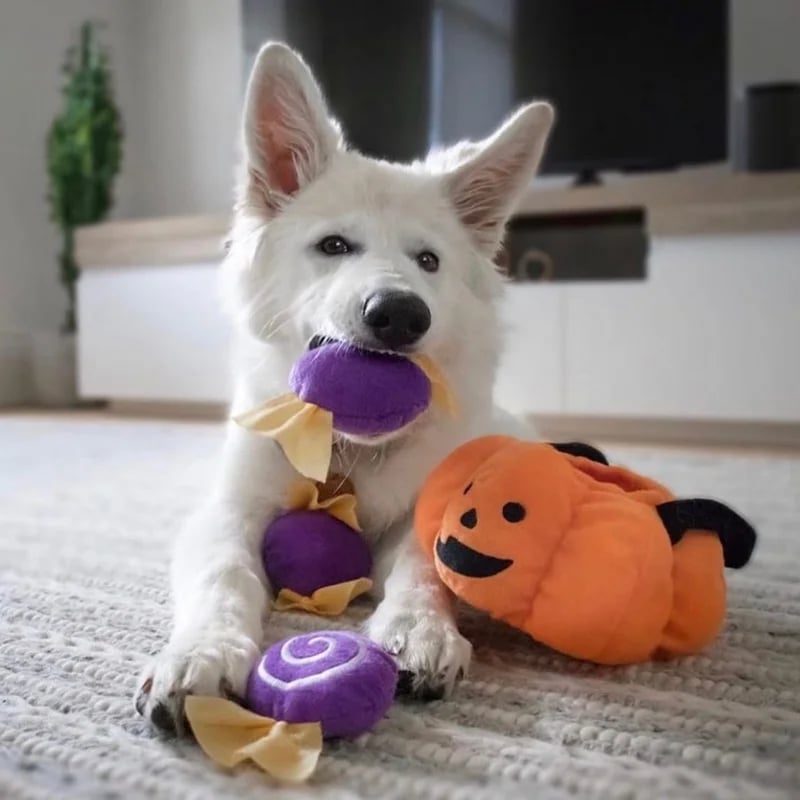 Peluche de fouille Burrow Trick or Treat — vue 2