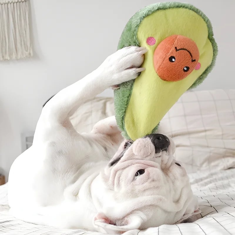Peluche Avocat — vue 2
