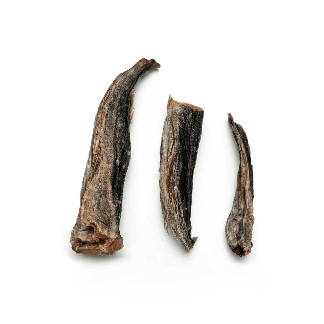 Merlu coupé — Mastication pour chien