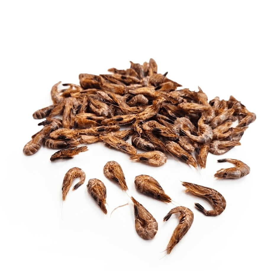 Crevettes grises — Mastication pour chien