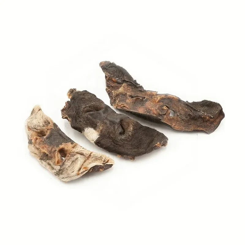 Museau de bœuf avec poils, Mastication pour chien