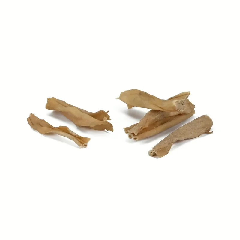 Peau d'agneau, Mastication pour chien