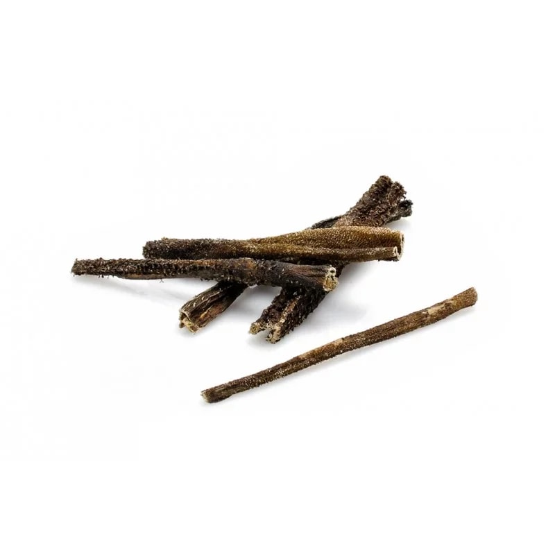 Tripes d'agneau, Mastication pour chien