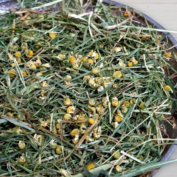 Foin FreshGrass Camomille 500G — Foin pour hamster, photo 2 sur 2
