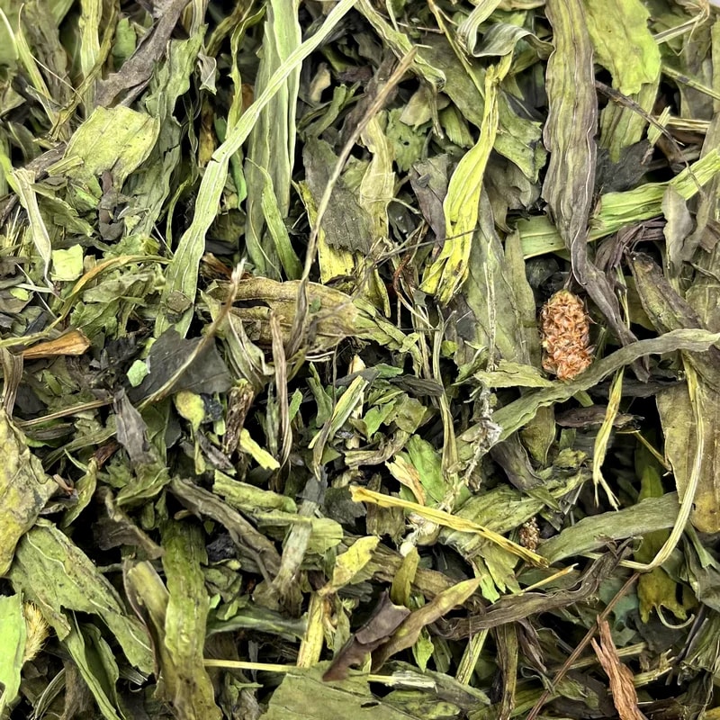 Feuilles de plantain — Vrac pour lapin