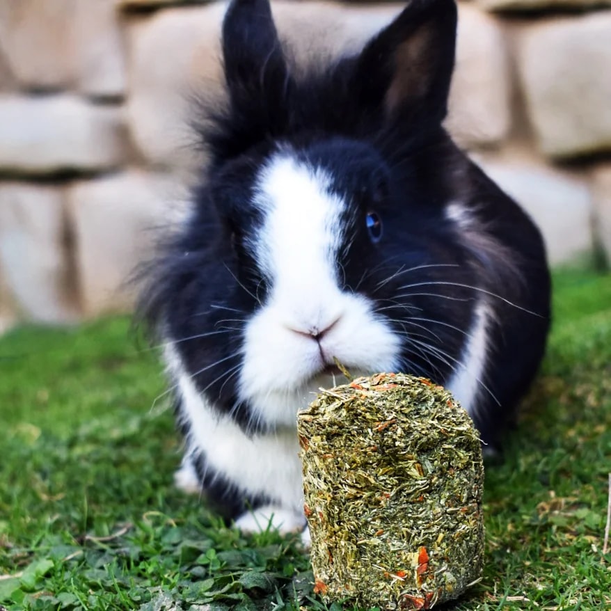 Pellets XXL Luzerne 240G, Alimentation pour lapin, photo 2 sur 2
