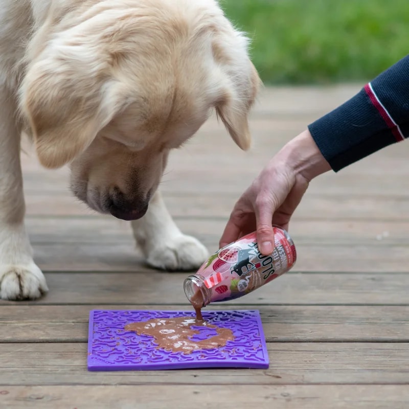 eMat Bones, Jouets pour chien, photo 4 sur 6