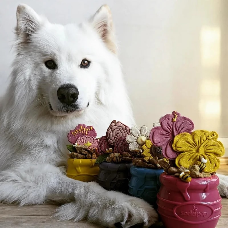Pot de Miel, Jouets pour chien, photo 2 sur 5