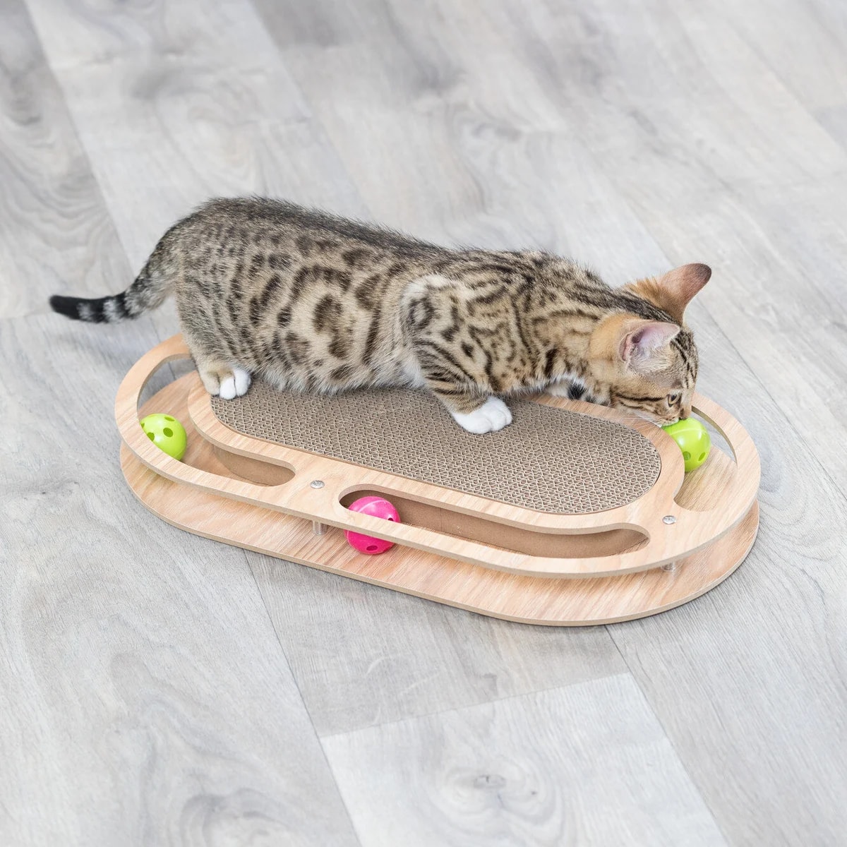 Griffoir en carton, Enrichissement pour chat, photo 3 sur 5