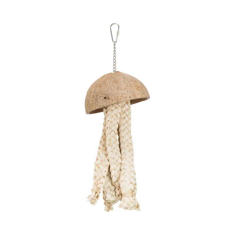 Jouet noix de coco et bananier, Jouets pour rat