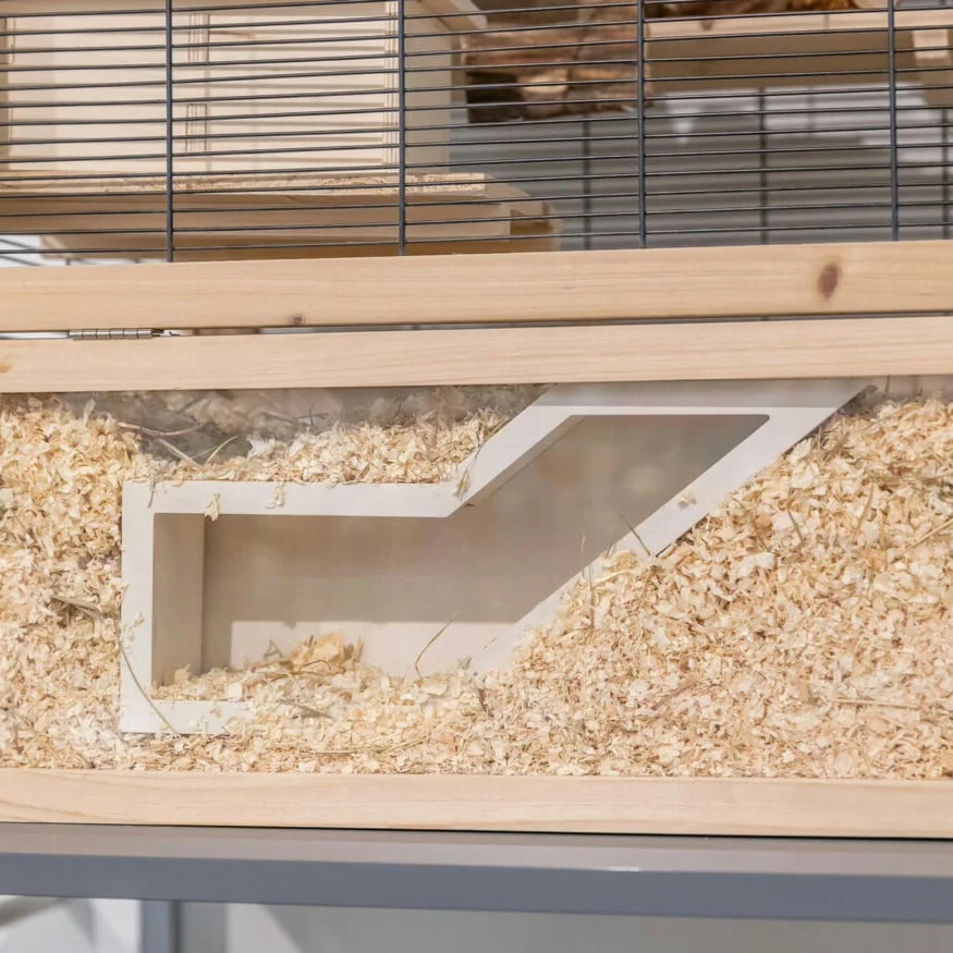 Rampe d'observation, Friandises pour rat, photo 4 sur 4