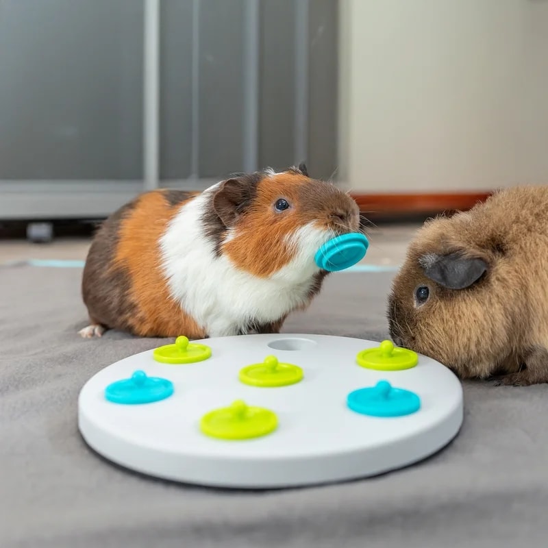 Snack Board, Jouets pour rat, photo 2 sur 2