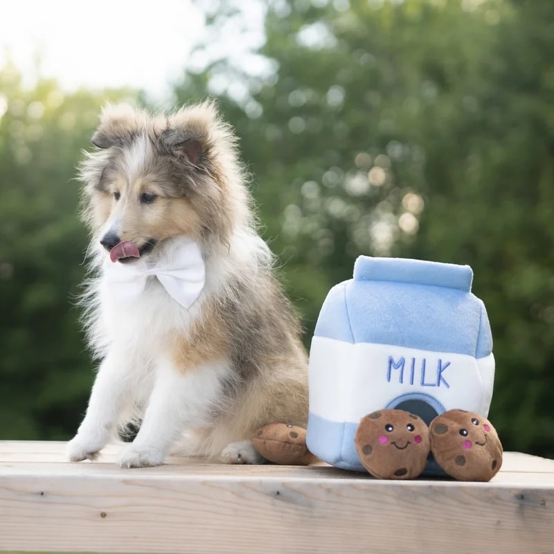 Peluche de fouille Burrow Cookie, Jouets pour chien, photo 2 sur 2