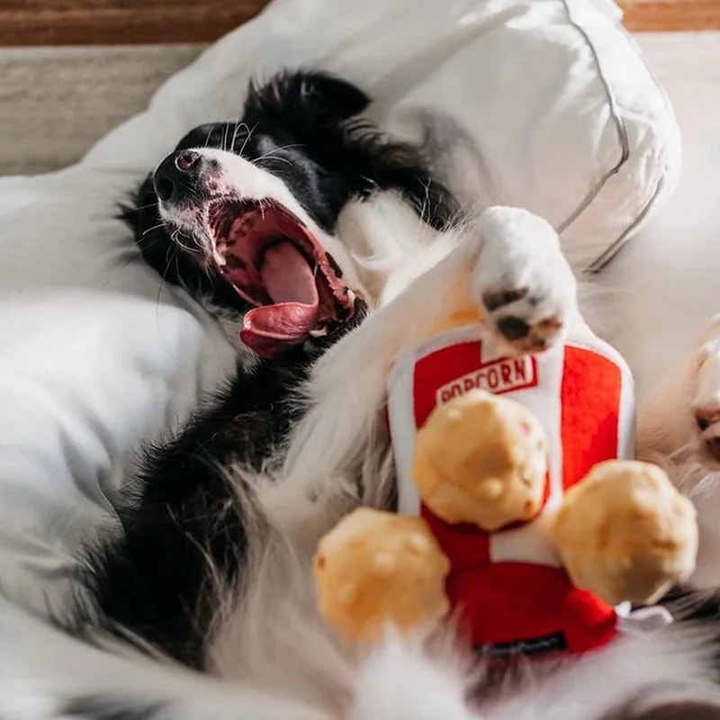 Peluche de fouille Burrow Popcorn — Jouets pour chien, photo 3 sur 3