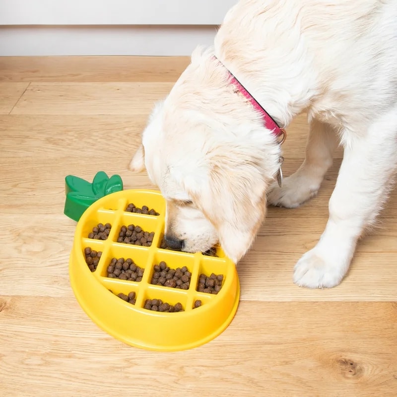 Gamelle Ananas, Jouets interactifs pour chien, photo 2 sur 2