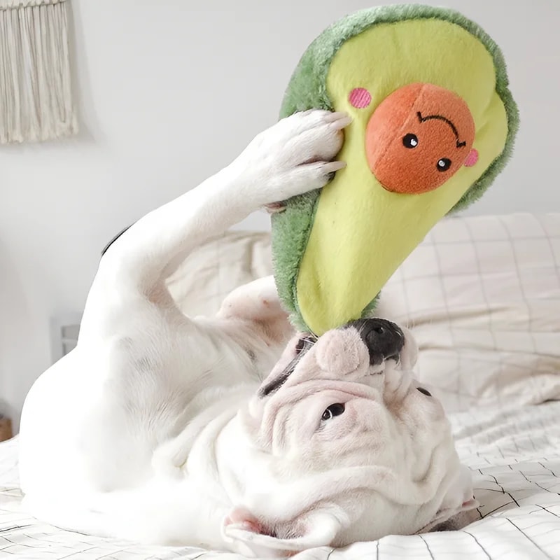 Peluche Avocat, Jouets pour chien, photo 2 sur 2