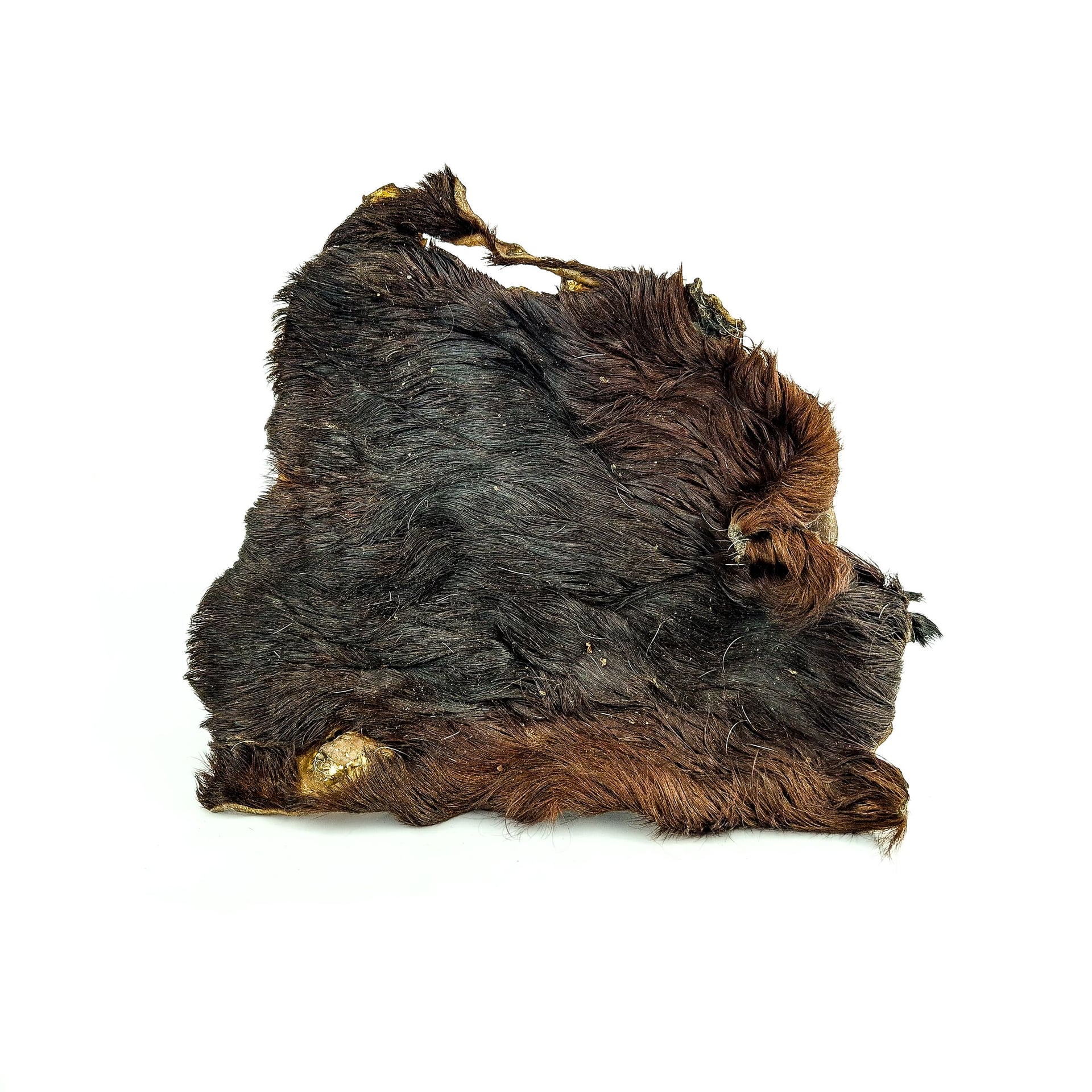 Plaque de boeuf avec poils — Mastication pour chien, photo 1 sur 1