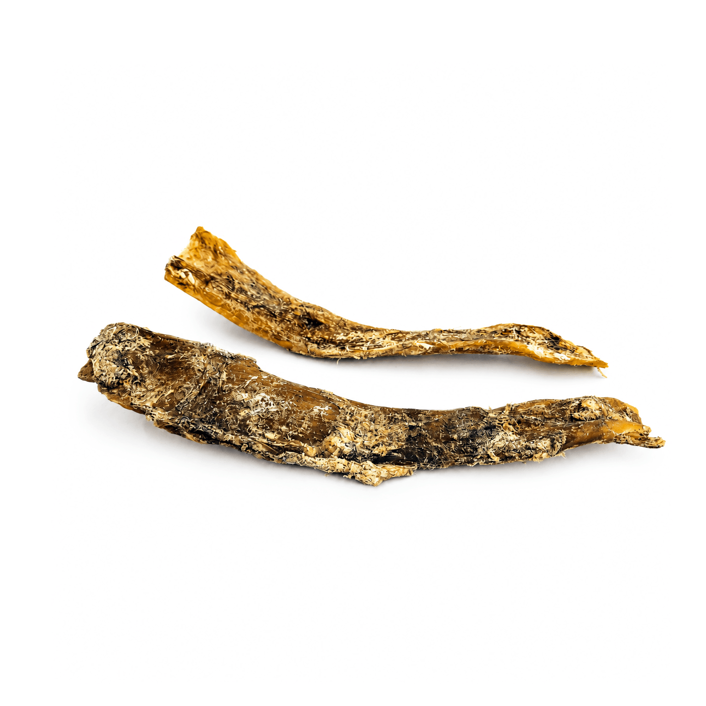 Tendon de cou de boeuf, Mastication pour chien