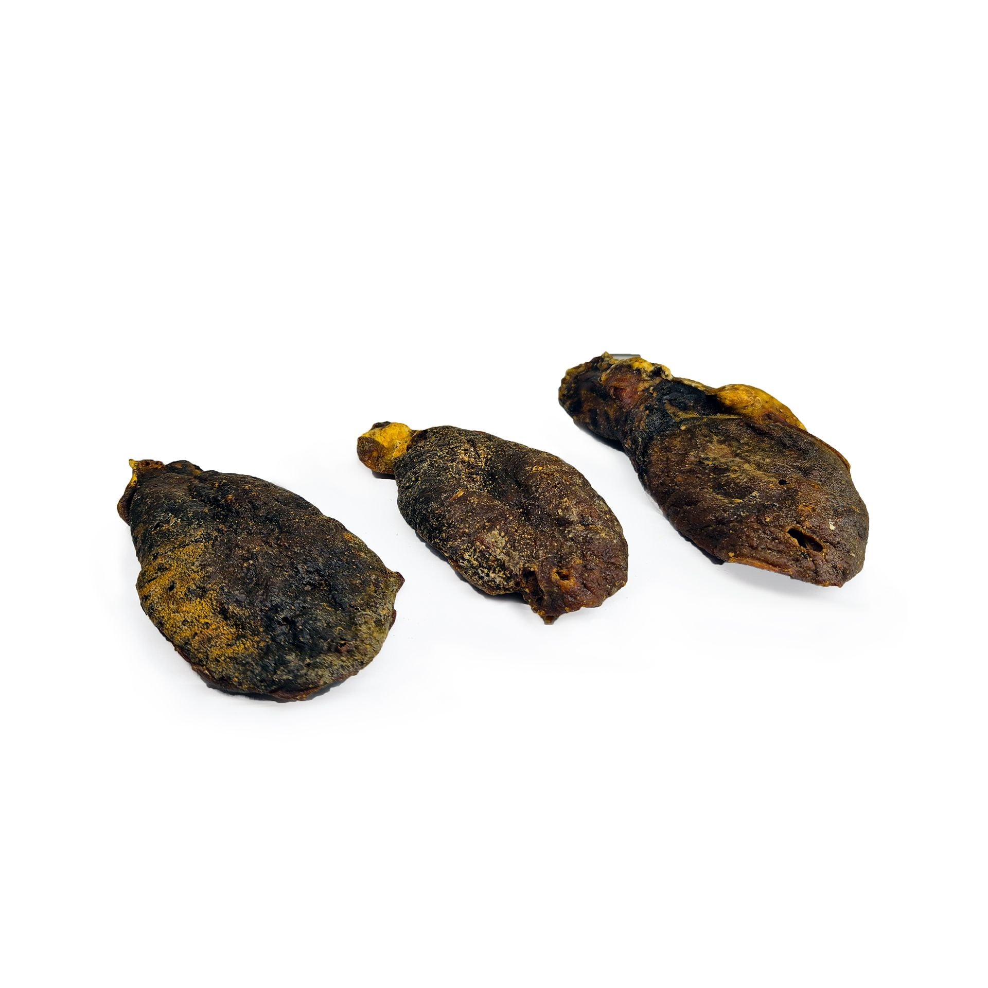 Testicules de chèvre — Mastication pour chien