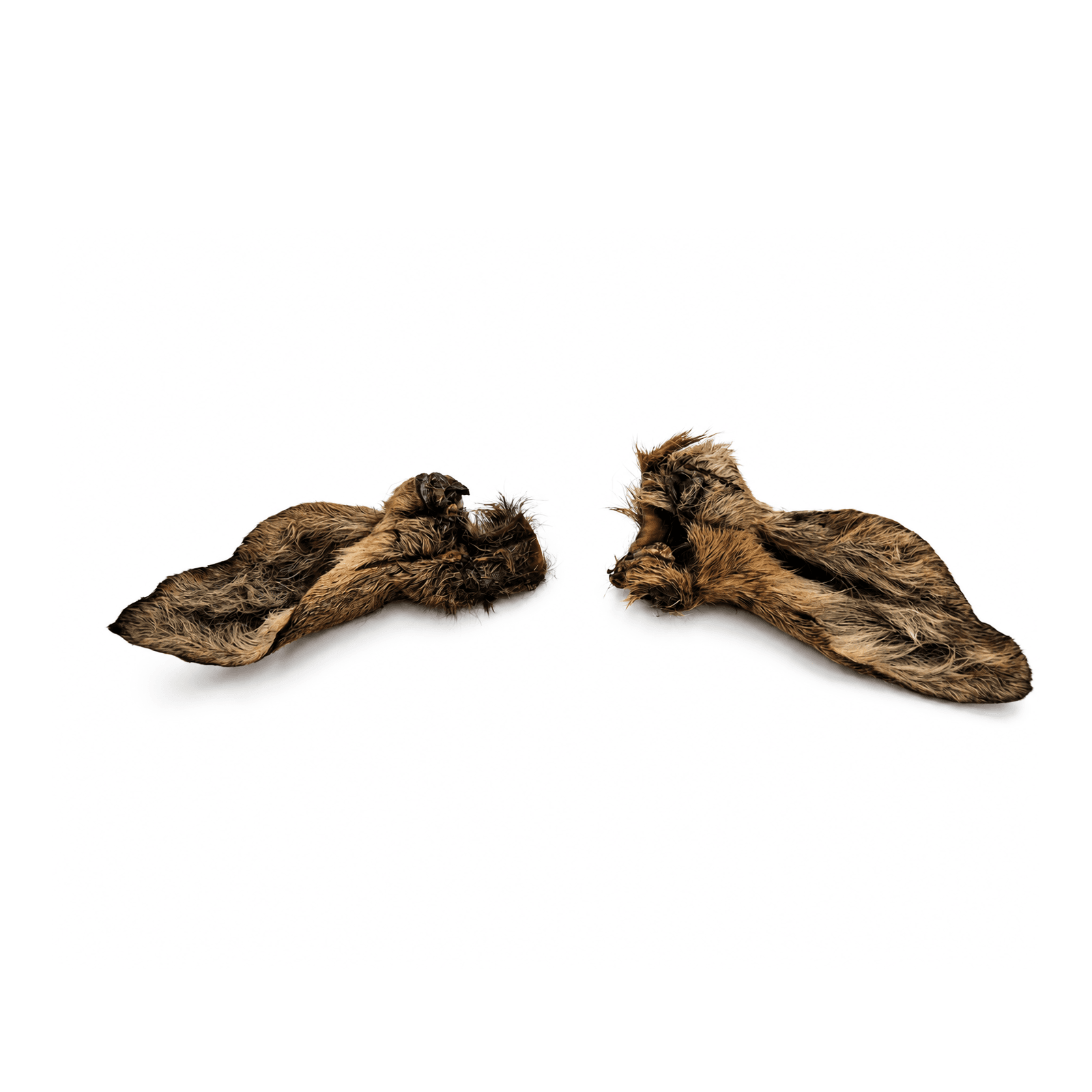 Oreilles de chevreuil avec poils, Mastication pour chien, photo 1 sur 1
