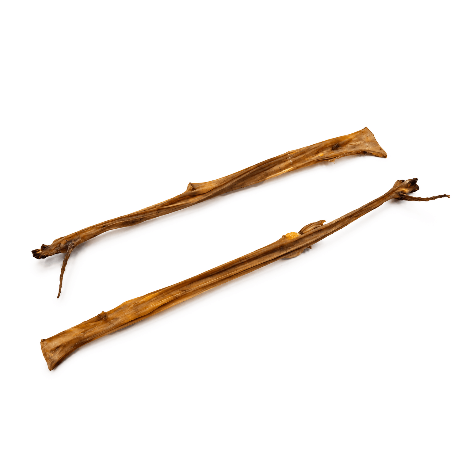 Peau de lapin 50CM, Mastication pour chien