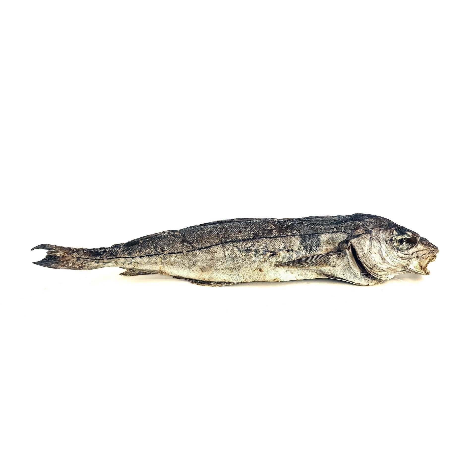 Merlan entier, Mastication pour chien