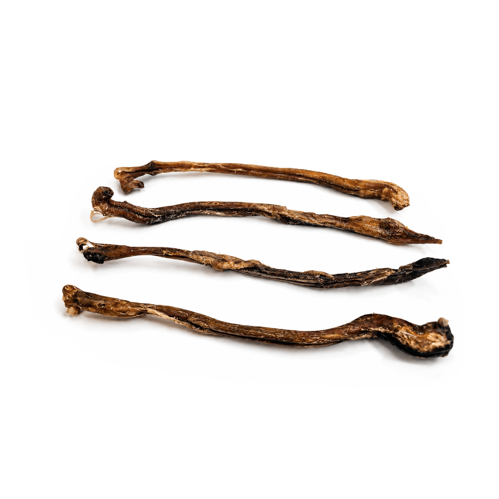 Nerf d'agneau — Mastication pour chien