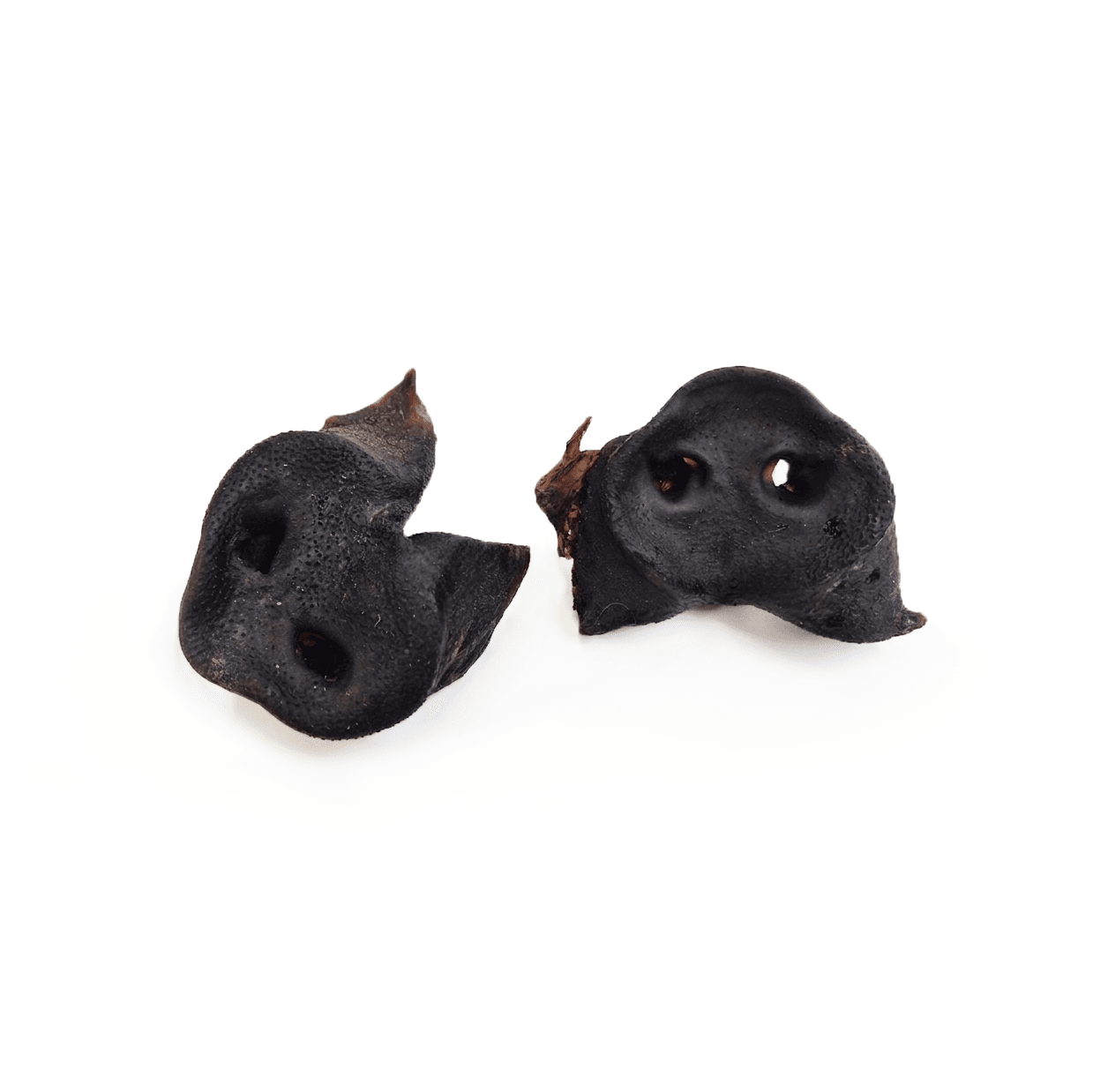 Groin de sanglier — Mastication pour chien, photo 1 sur 1