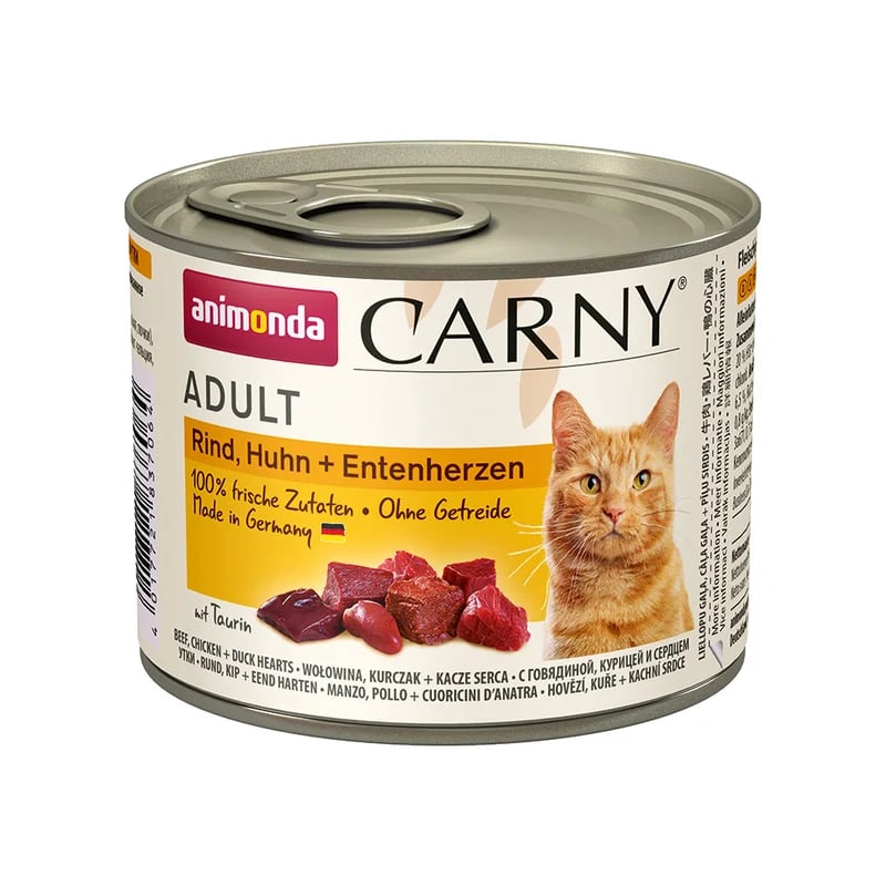 Bœuf