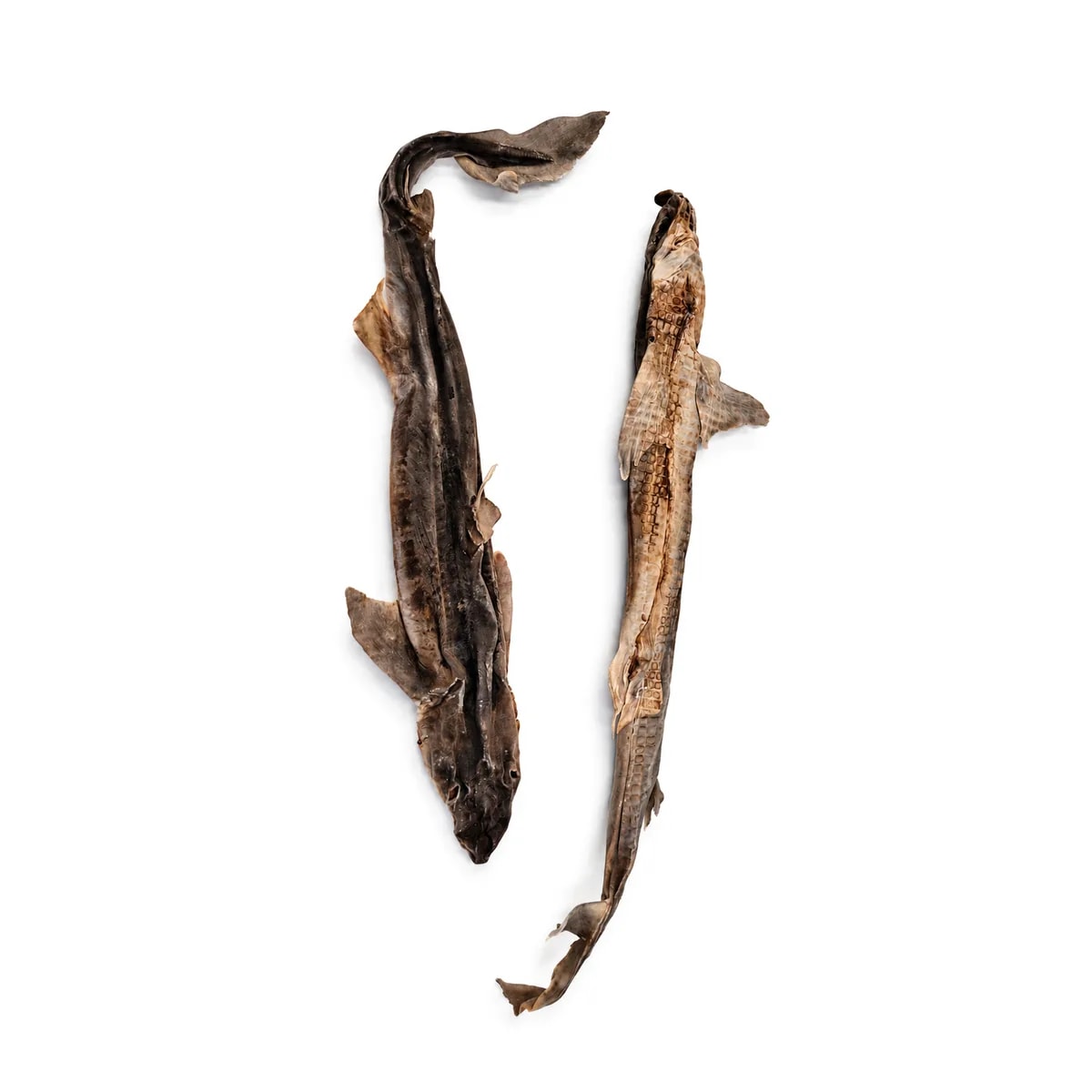 Aiguillat commun XL, Friandises pour chien