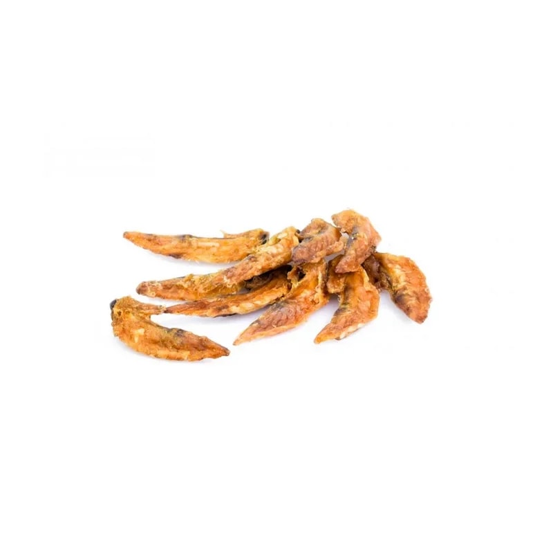 Ailes de poulet, Mastication pour chien