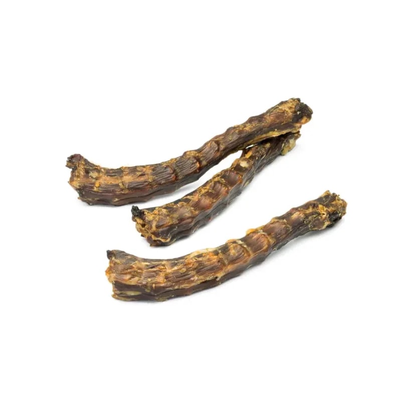 Cous d'oie — Mastication pour chien