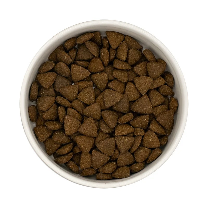 Croquettes pour Chiot Sans Céréales Saumon Ecossais — Alimentation pour chien, photo 2 sur 2