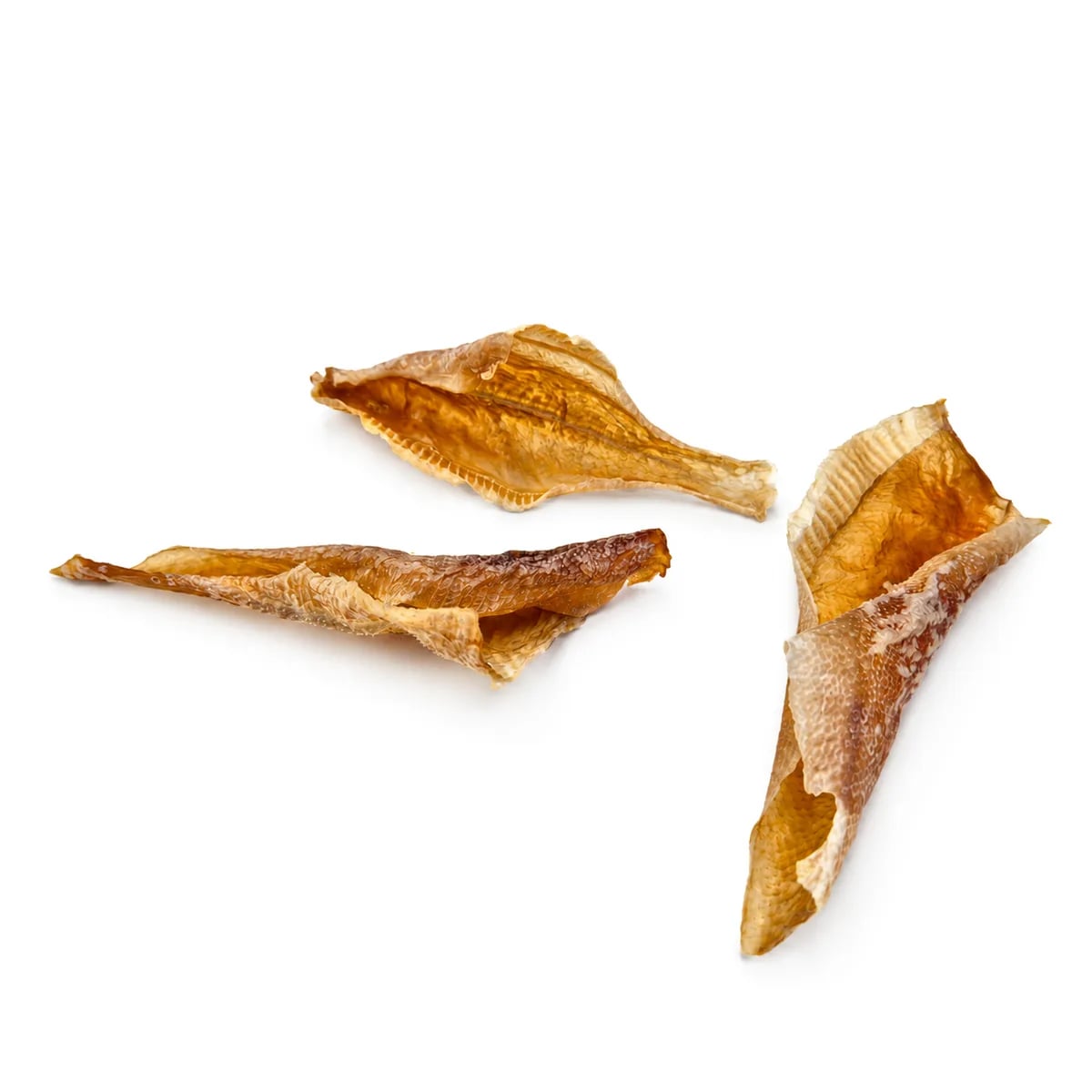 Filet de carrelet, Friandises pour chien, photo 1 sur 1